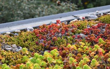 the cost of Raploch green roof installation