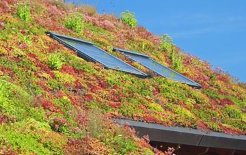 Raploch living roof systems