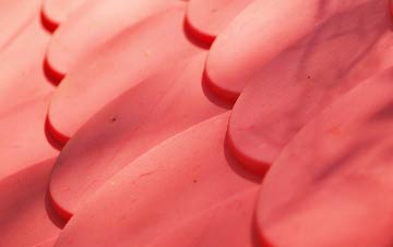 Raploch plastic roof costs