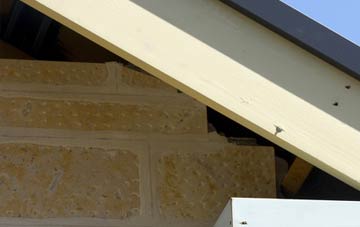 soffit repair Raploch