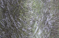 Raploch fibreglass roof work